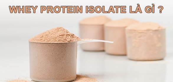 Whey-Protein-Isolate-là-gì-1.jpg