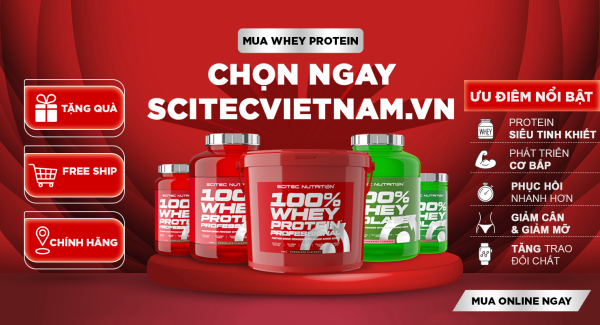 banner whey protein.png